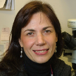 Image of Dr. Sabina Signoretti, MD