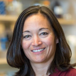 Image of Dr. Shelley Miyamoto, MD