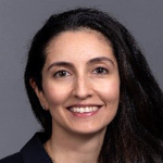 Image of Dr. Ayse N. Sahin Efe, MD