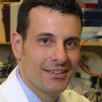 Image of Dr. Steven P. Treon, PhD, MD